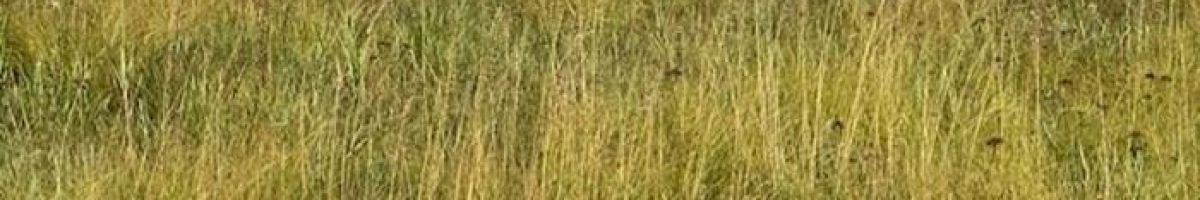 Smith & Co Auction & Realty, Inc. 