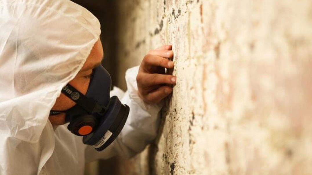 Rock Environmental, Inc. : Asbestos Testing in Rochester, NY