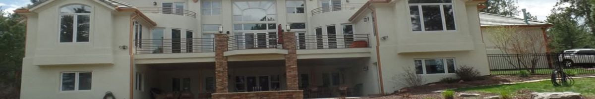 Pro Classic Painting 