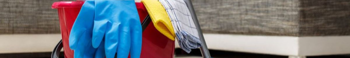 Bee-Dazzled Cleaning Service 