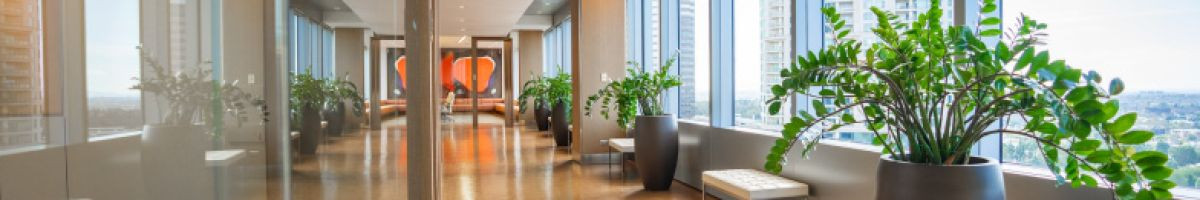 2000 Avenue of the Stars 