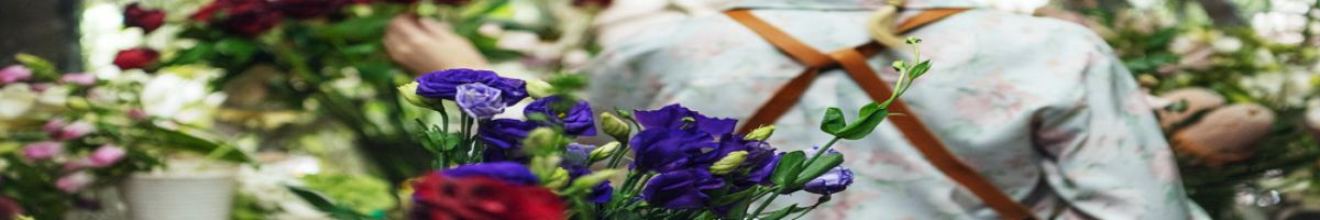 Park Avenue Floratique 