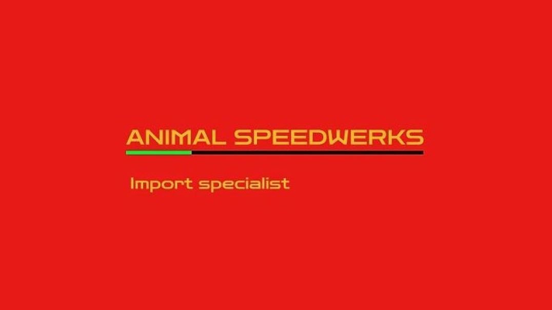 Animal Speedwerks - Mechanic Shops in Crossville, TN
