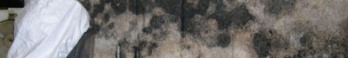 Rock Environmental, Inc. 