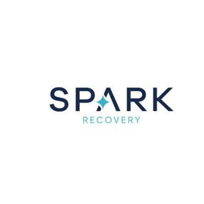 Spark Recovery 