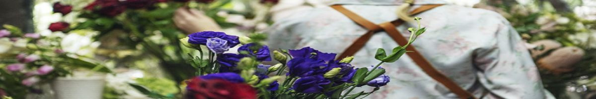 Park Avenue Floratique 