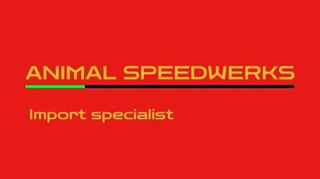 Animal Speedwerks - Trusted Auto Repair in Crossville, TN