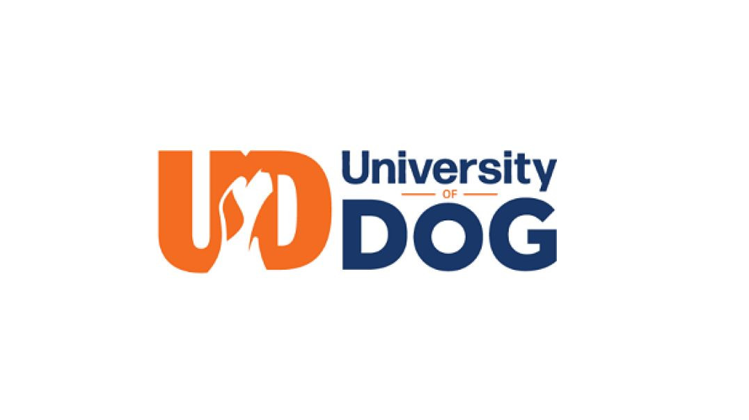 ⁣University of Dog - Certified Dog Trainer in Lewes, DE