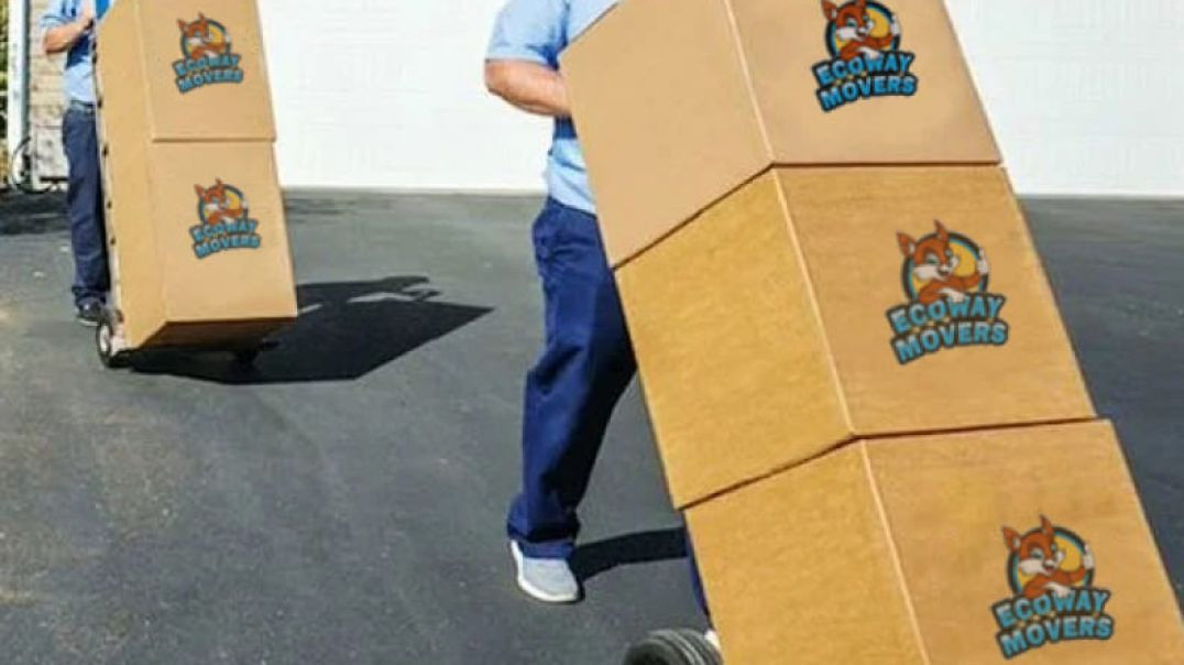 ⁣Ecoway Mover in Oakville, ON