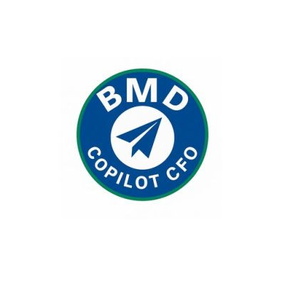 BMD Professional Consulting LLC 