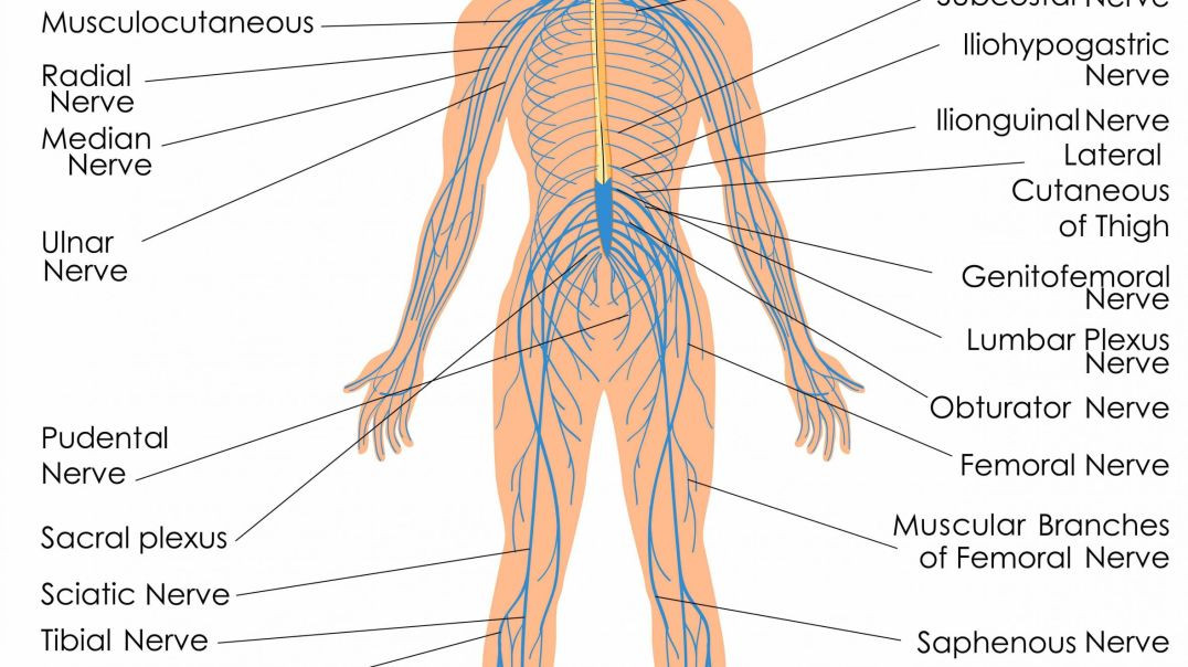 ⁣Ultimate Diagnostic Center : NCV Test in Homestead | (305) 393-8102