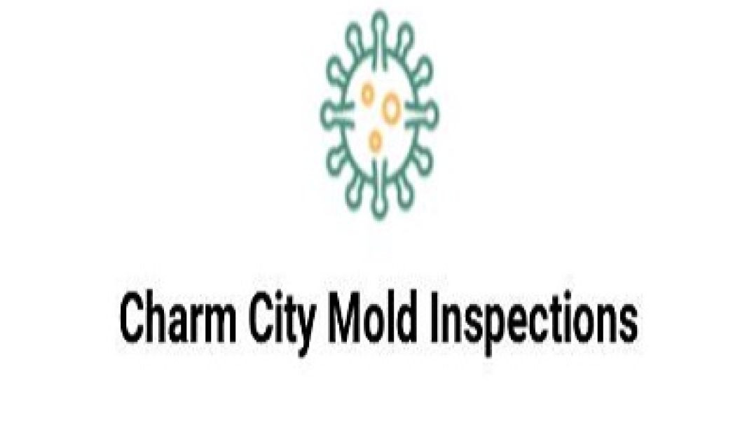 ⁣Charm City Mold Inspections - Reliable Mold Remediation in Baltimore, MD