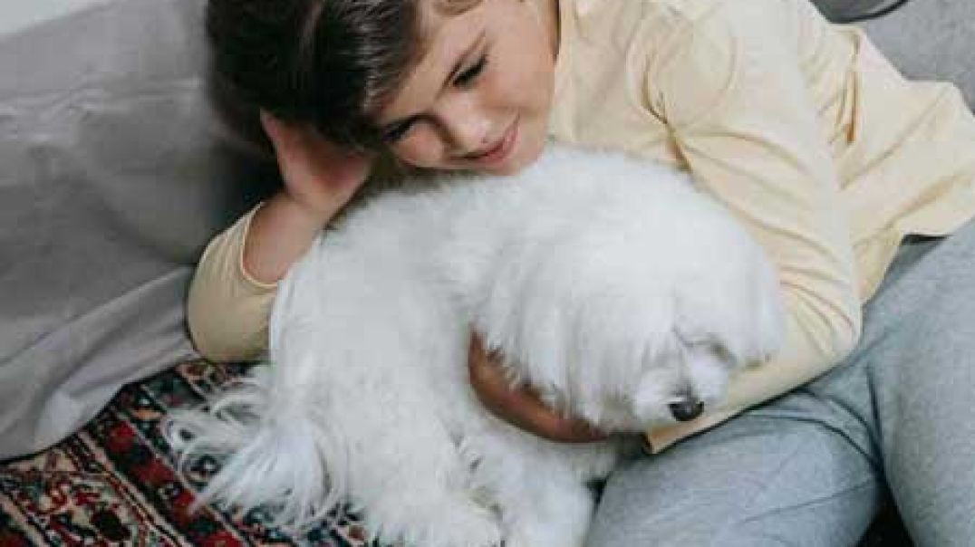 ⁣FiberCare Cleaning & Restoration : Carpet Cleaning Services in Louisville, KY