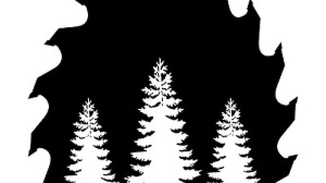 ⁣Would Wood Work - Custom Cabinetry Services in Atlanta, GA