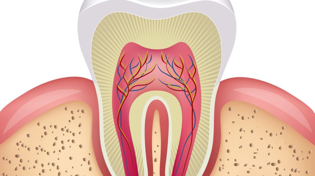 ⁣Veneto Dental Care : #1 Root Canal in Miramar, FL | 33025