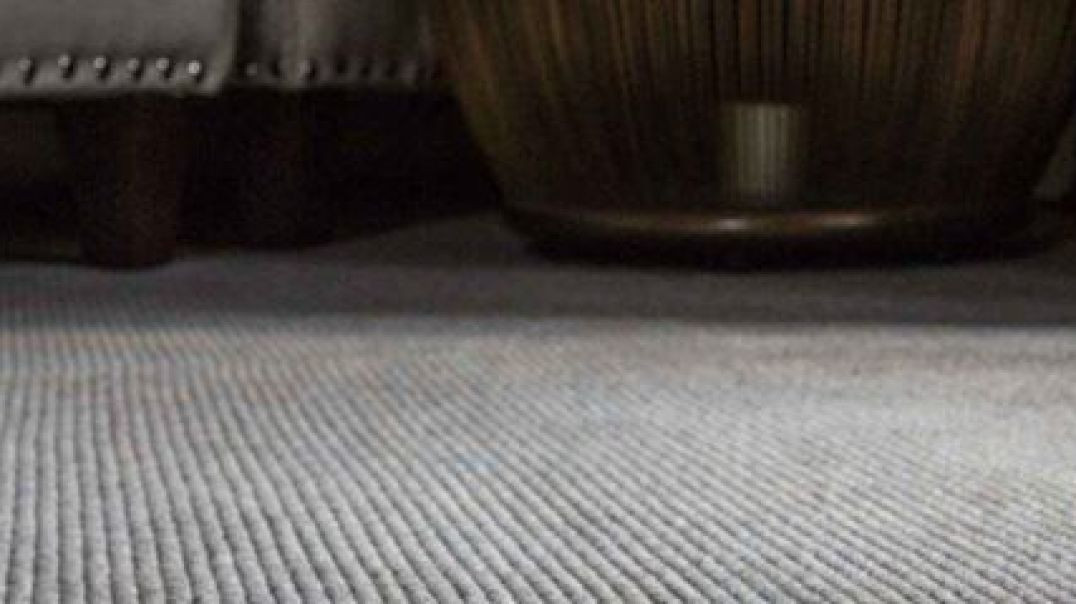 ⁣Advantage Carpet Care : Green Carpet Cleaning Services in Richmond, CA