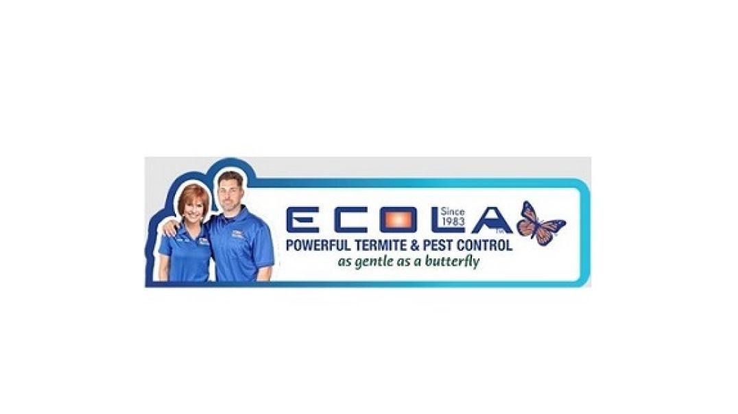 Ecola Termite Control in Los Angeles, CA