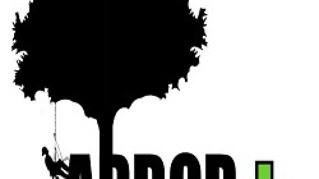 Arbor Plus - Top-Rated Tree Removal in Salt Lake City, UT